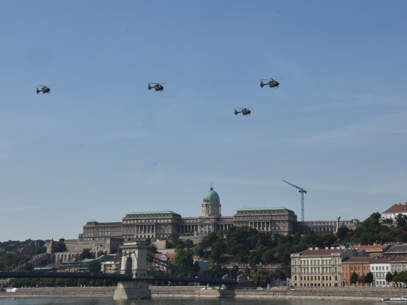dsc_6579m_2_1.jpg