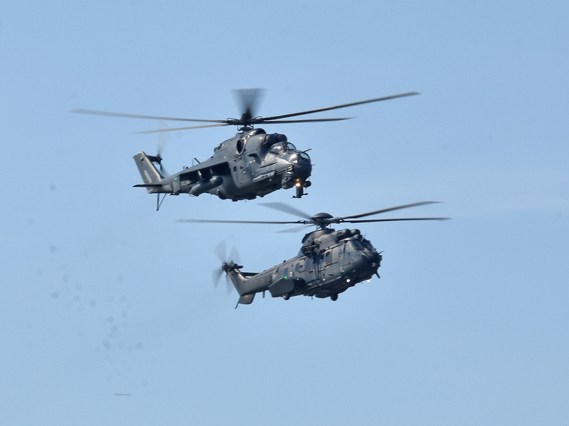 dsc_6606m_2_1.jpg