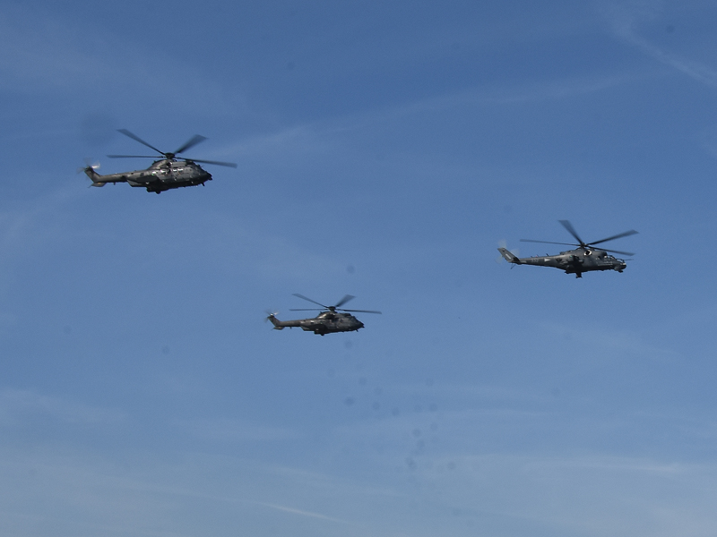 dsc_6618m_1.jpg