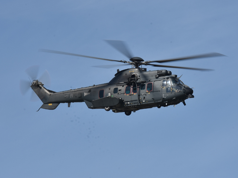 dsc_7335m.jpg