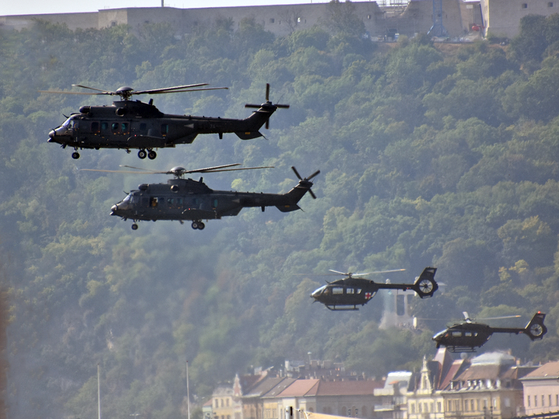 dsc_8168m_1.jpg