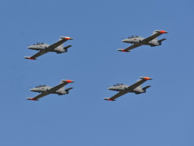 dsc_8454m_1.jpg