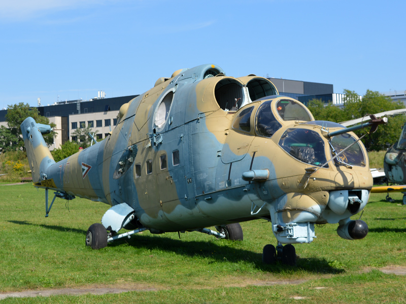 dsc_8853m.jpg