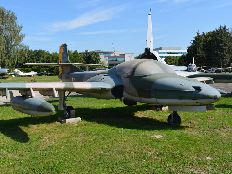 dsc_8857m.jpg