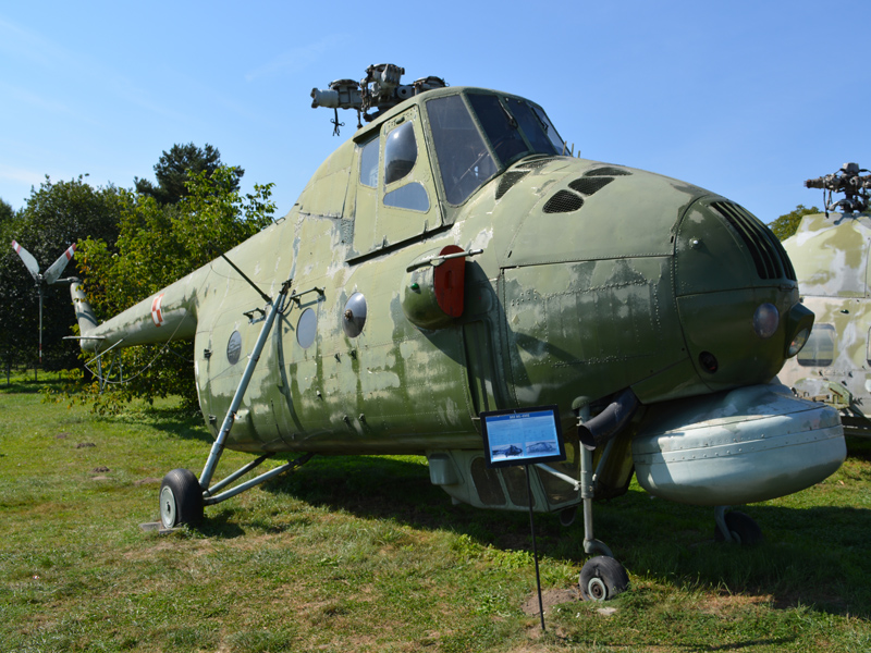 dsc_8875m.jpg