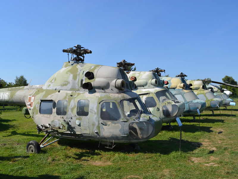 dsc_8878m.jpg
