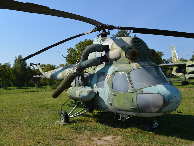 dsc_8886m.jpg