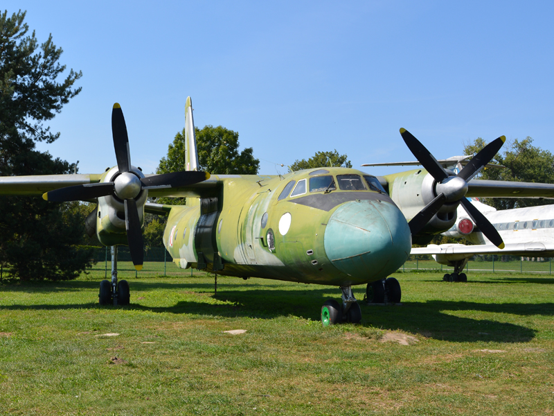 dsc_8889m_1.jpg