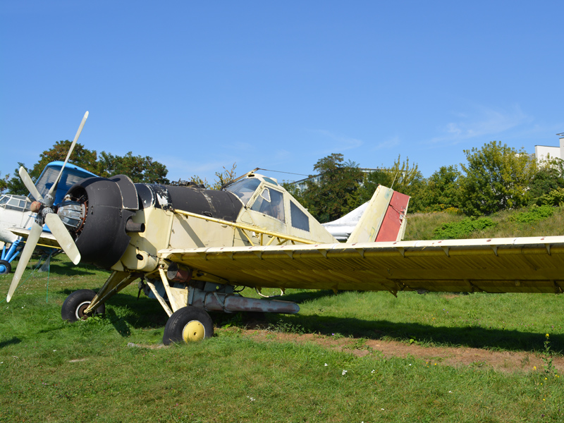 dsc_8902m.jpg