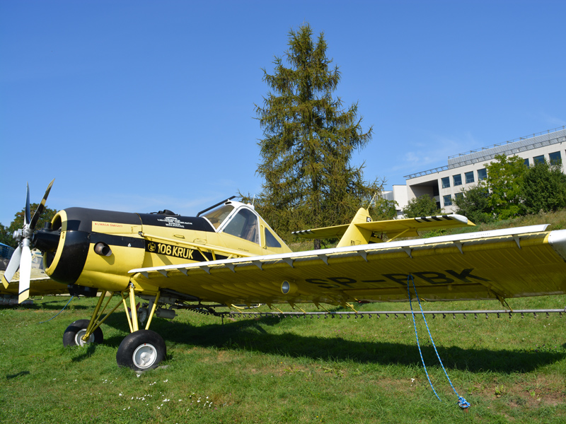 dsc_8905m.jpg