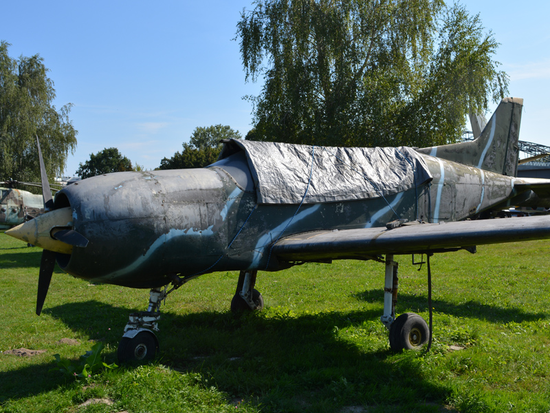 dsc_9008m.jpg