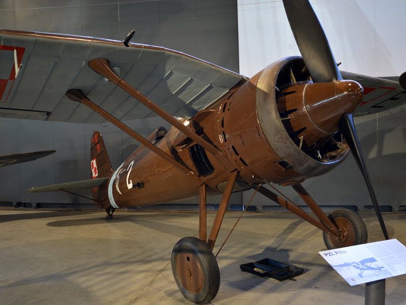 dsc_9038m.jpg