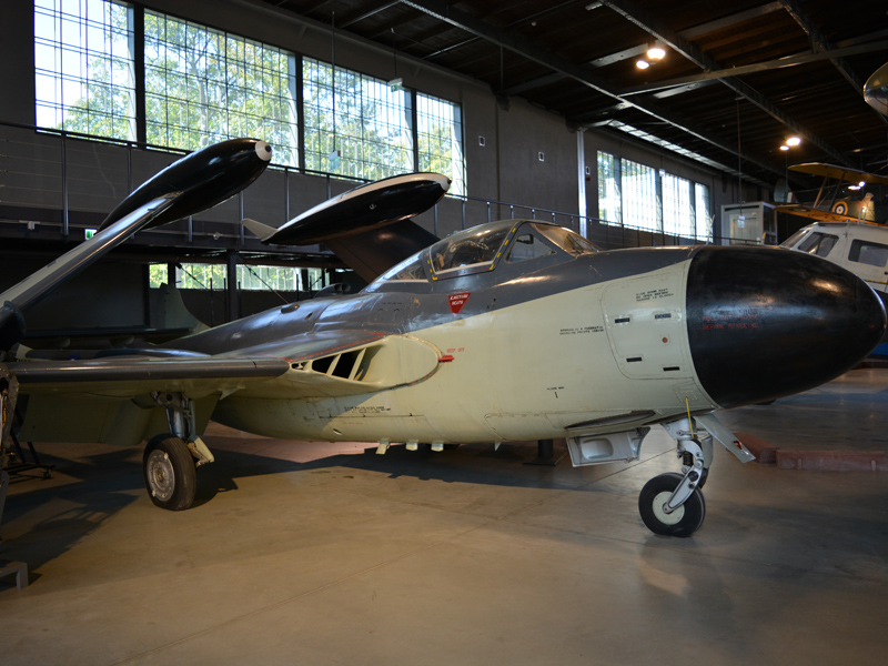 dsc_9073m_2.jpg