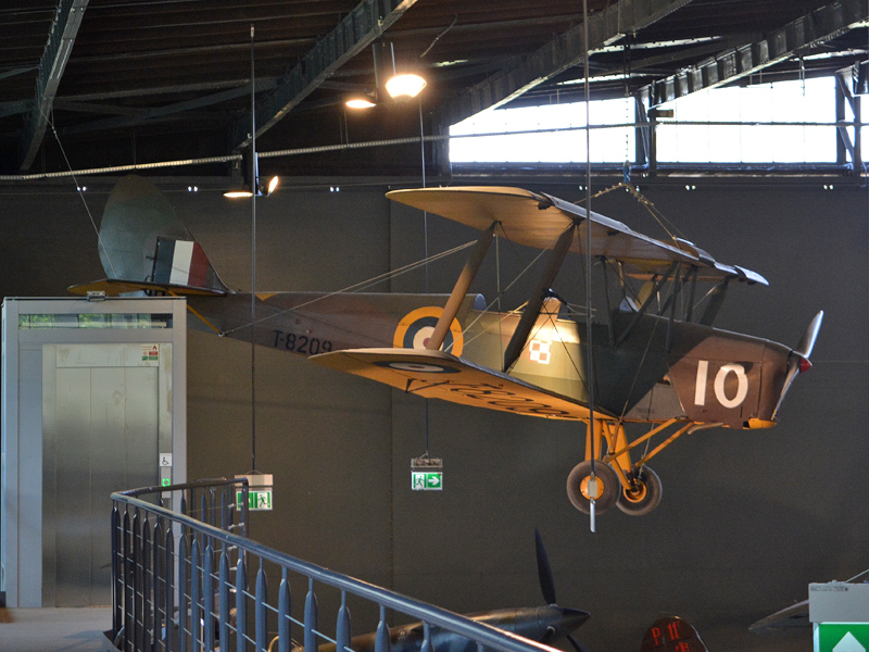 dsc_9090m.jpg