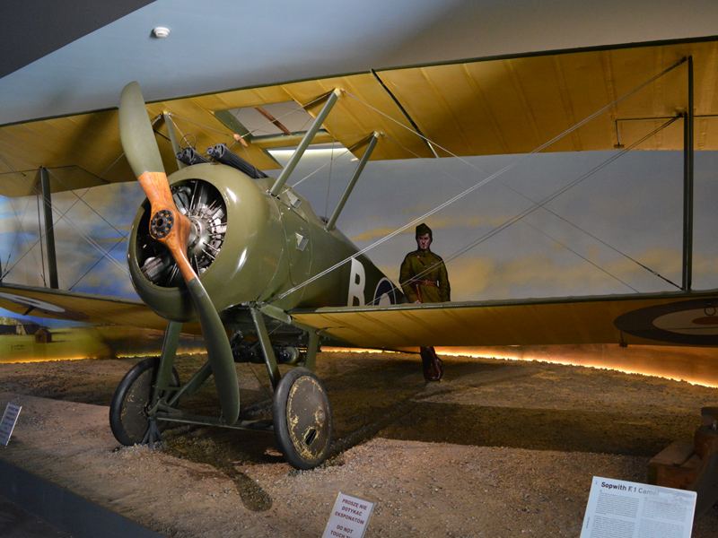 dsc_9132m_2.jpg