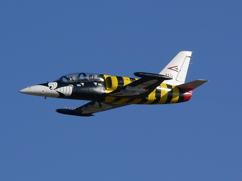 p1000214m.jpg
