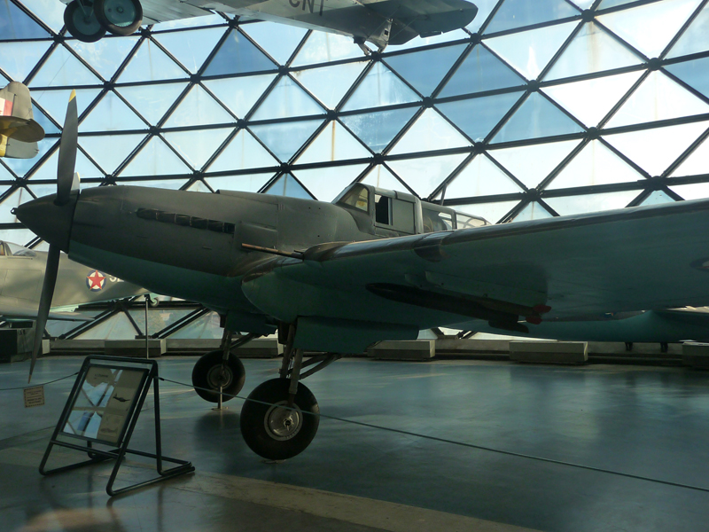 p1170855m.jpg