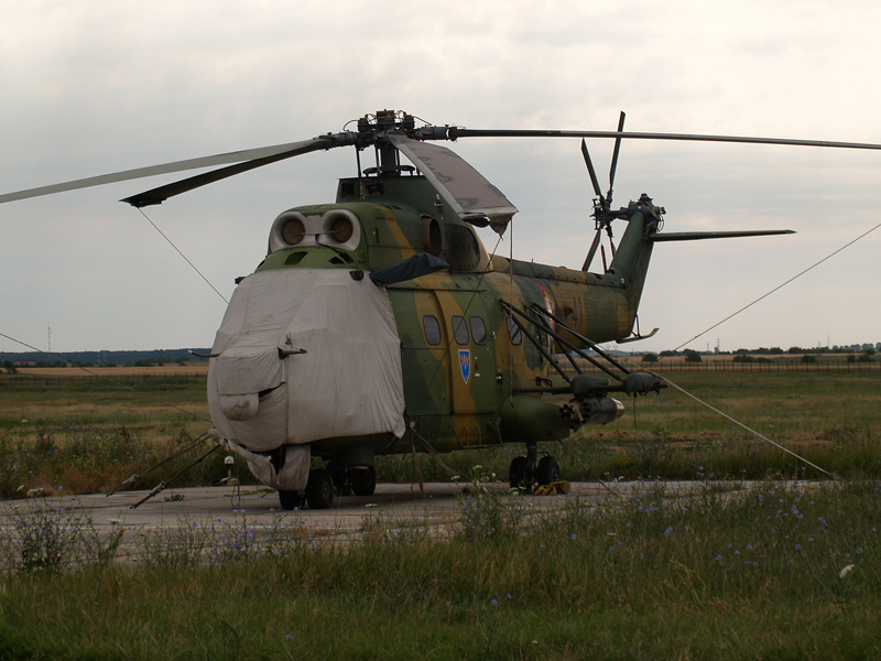 p6296594m.jpg