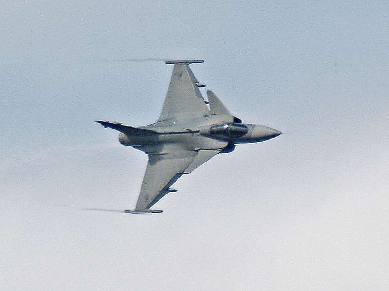 p9090551m.jpg