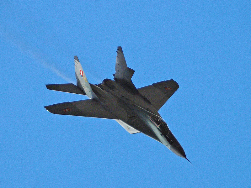 p9090576m.jpg
