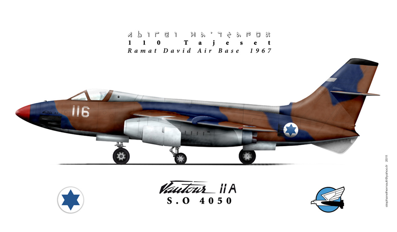 vautour110israelweb.jpg