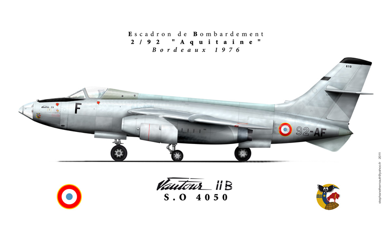 vautour292aquitaineweb.jpg