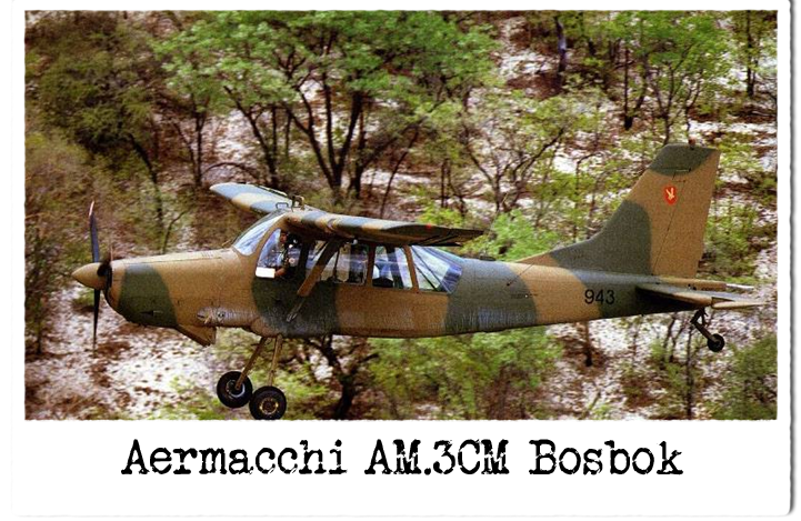 01-bosbo.png