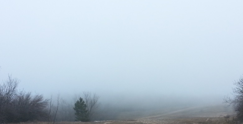 mindennapajandek2.jpg