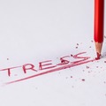 A mindennapi Stressz hatásai