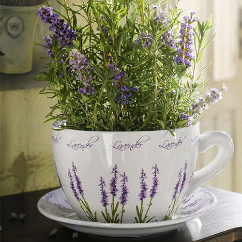 lavender-home-decorating-ideas-1-500x500.jpg