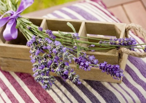 lavender-home-decorating-ideas-10-500x354.jpg