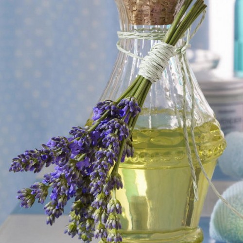 lavender-home-decorating-ideas-9-500x500.jpg