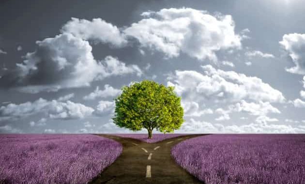 crossroad-path-in-lavender-meadow-e1422242987814-630x426-min-630x381.jpg
