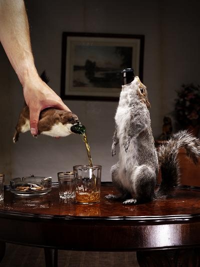 brewdog_taxidermy211_534.jpg