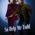 So Help Me Todd