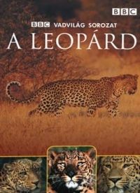 000a_leopard.jpg