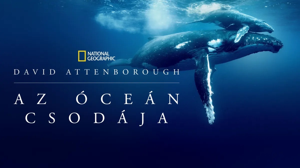 000azocean.jpeg