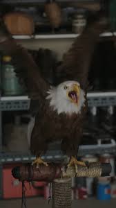000eagly.jpg