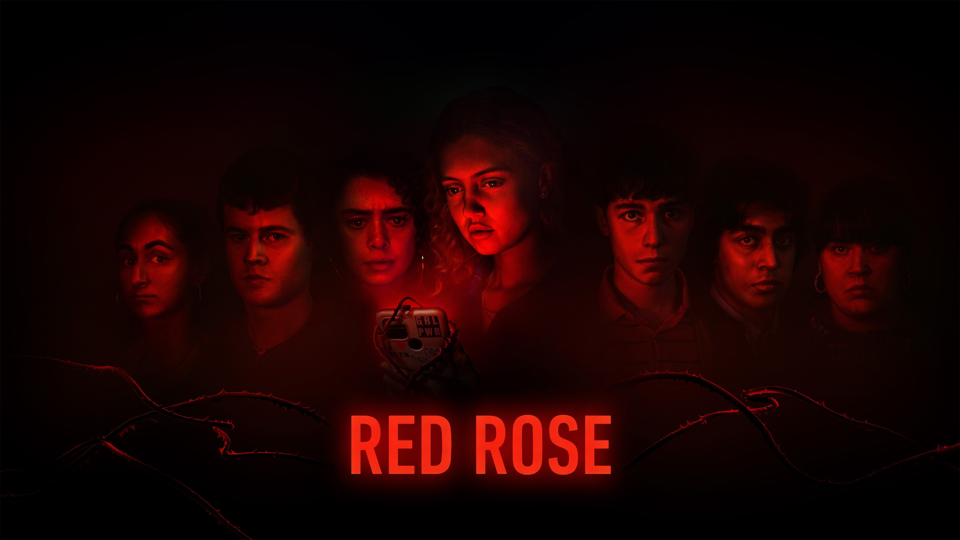 000redrose.jpg