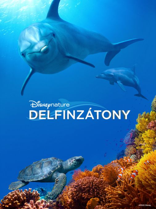 delfinzatony.jpg