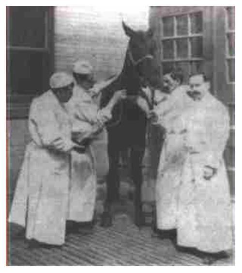 8-jim-the-horse-tetanus-scandal_united-states-early-1900s.jpg