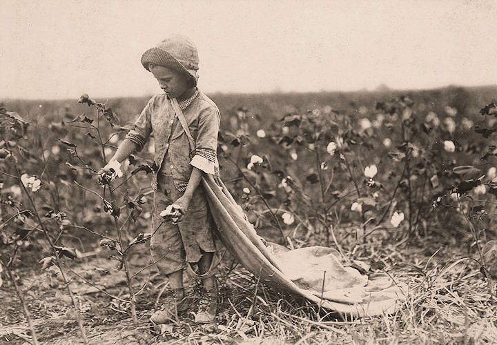 hine-cotton.jpg