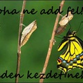 Mindig a kezdet a legnehezebb!