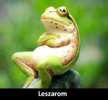 leszarom3.jpg