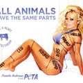 Ő is vegán: Pamela Anderson