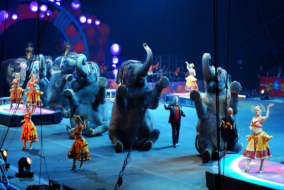 ringling_bros_cirkusz_bezar_mindennap_vegan_blog_4.jpg