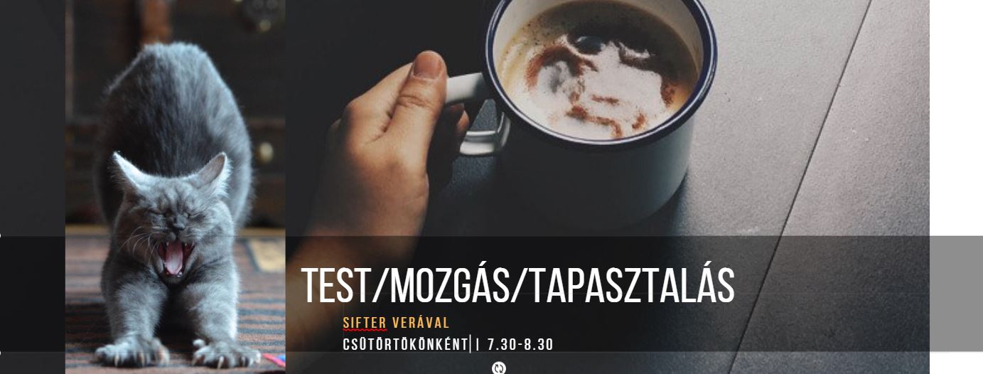 Test/Mozgás/Tapasztalás