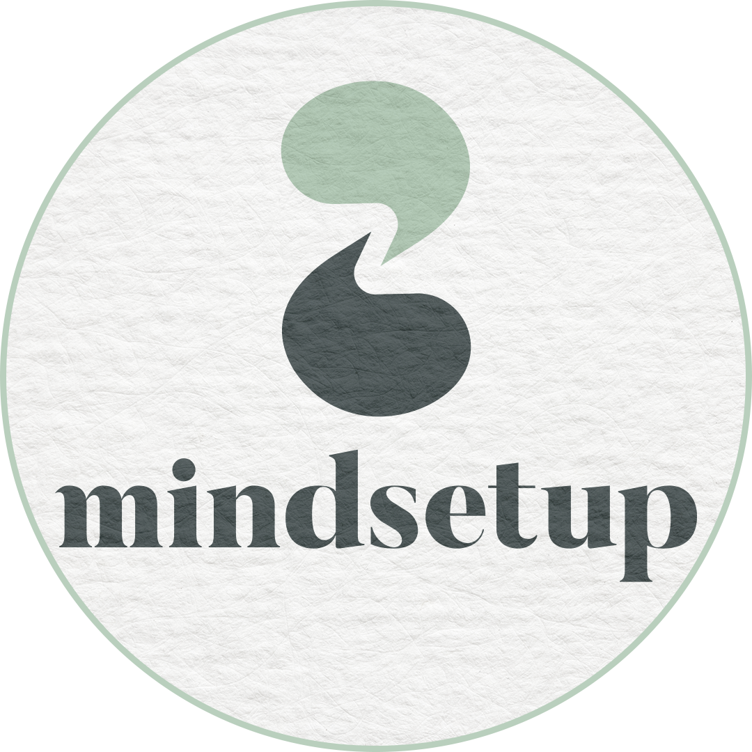 mindsetup_insta_profil.png