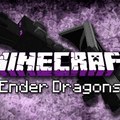 Minecraft 1.9 pre release 4 - enderman dimenzió