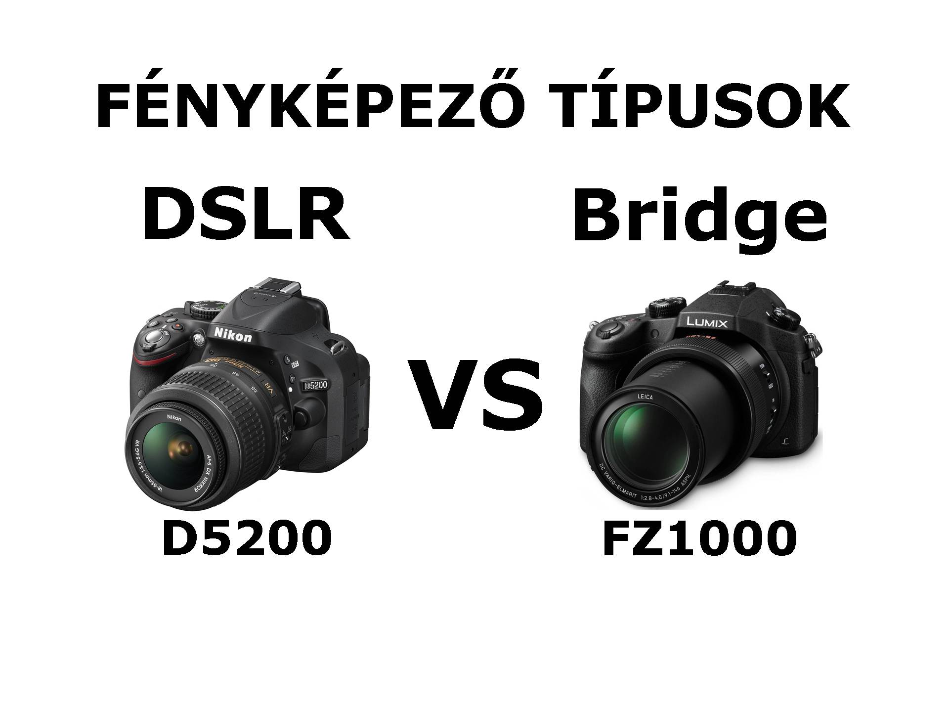 dslr_vs_bridge_borito_03.jpg